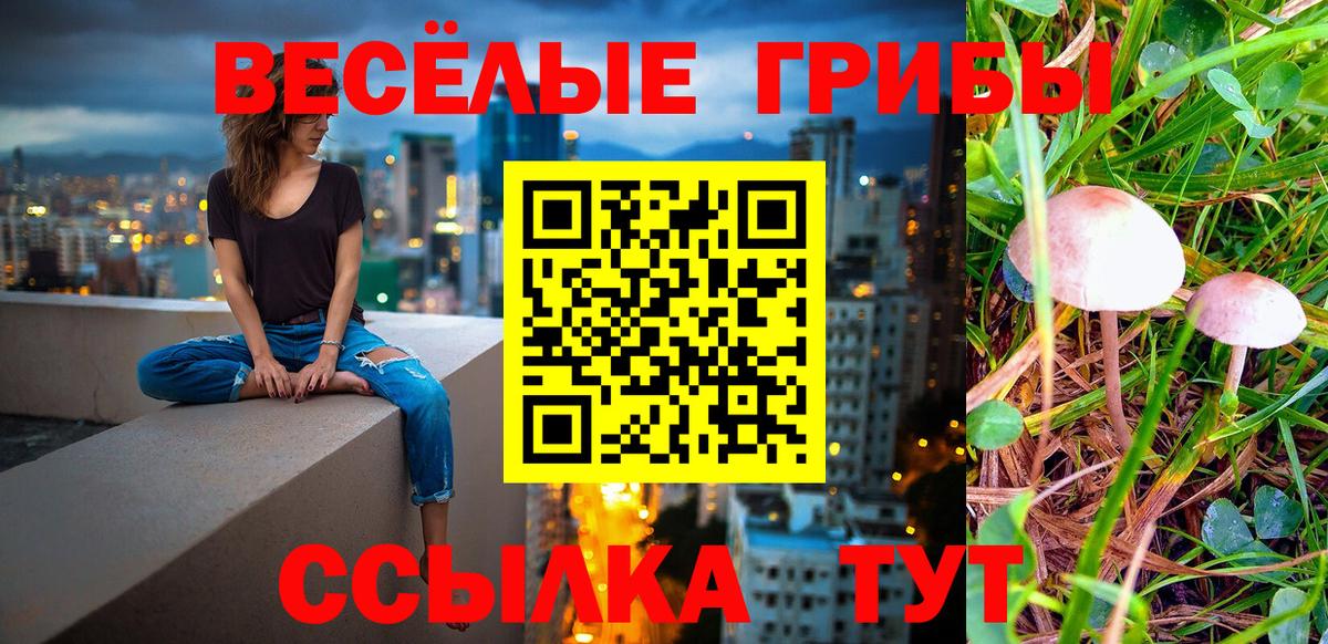 Псилоцибиновые грибы ЛСД Курчалой