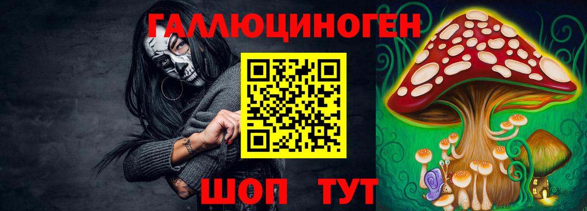 Курчалой  Галлюциногенные грибы мицелий  Псилоцибиновые грибы MAGIC MUSHROOMS  Вход с VPN 